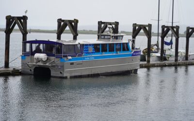 foot ferry, marina, boat, dock