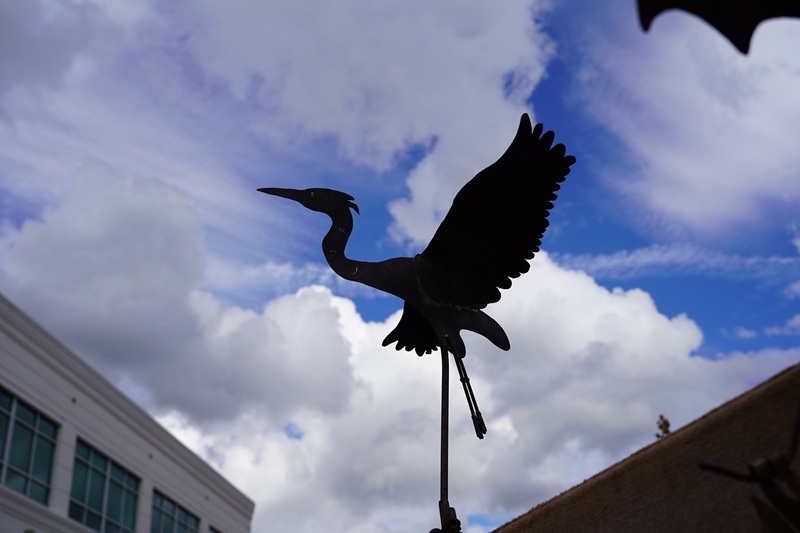 Sorticulture–Great Heron yard art