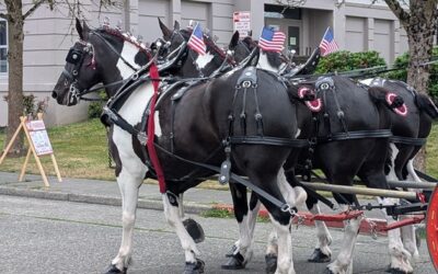 Everett parade, 4th of July, horses