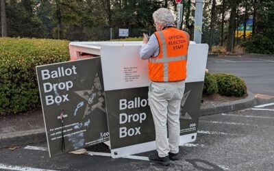 elections, drop box, ballot, voting
