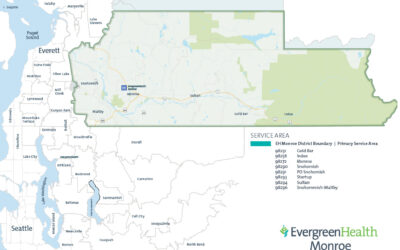 Snohomish County Hospital District 1, map