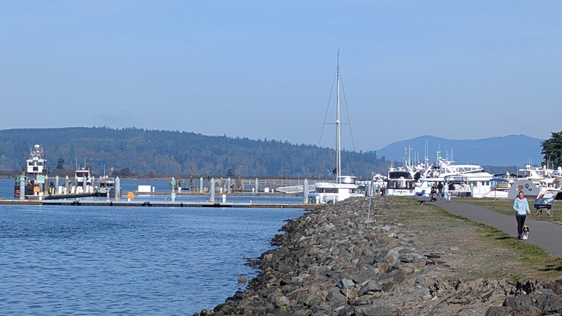 Everett waterfront, dog walking, sunshine