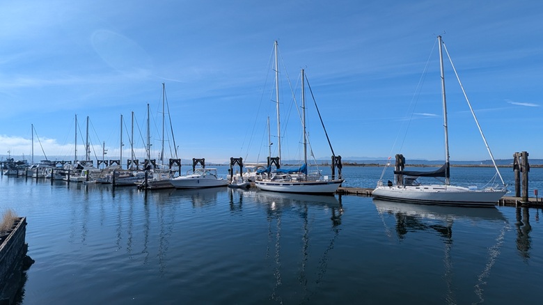 Everett waterfront, boats