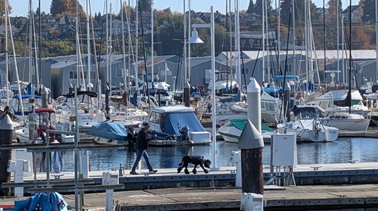Everett marina