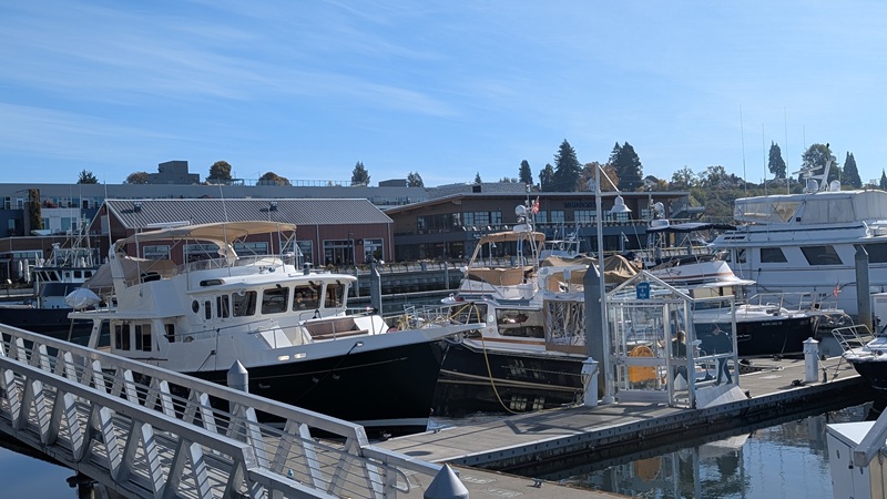 October sun inner marina 2
