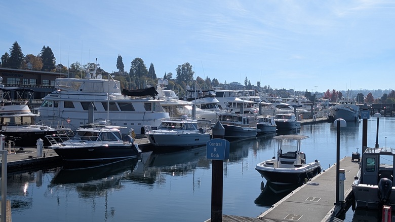 October sun inner marina