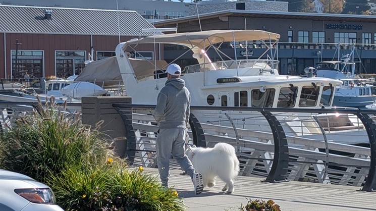 Everett marina